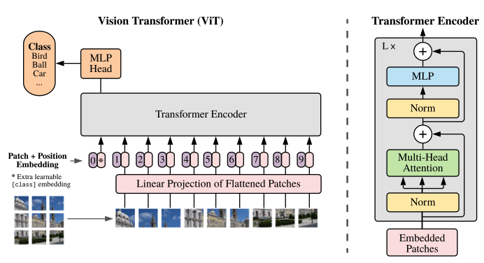 ViT architecture